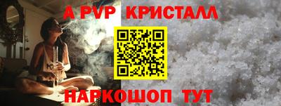стаф Кинель