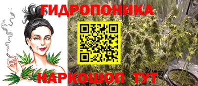 стаф Кинель