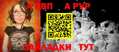 стаф Кинель