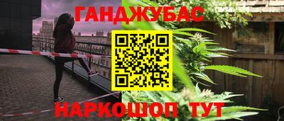 стаф Кинель
