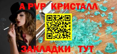 стаф Кинель
