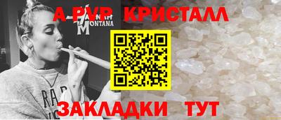 стаф Кинель
