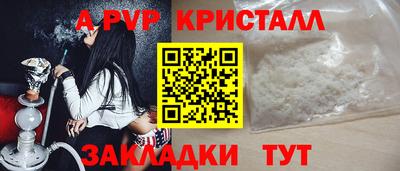 стаф Кинель