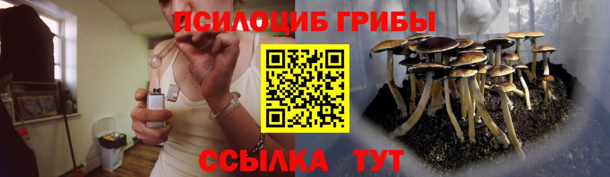 где продают   Галлюциногенные грибы мухоморы  Вход с VPN  Галлюциногенные грибы Psilocybe  Уварово 